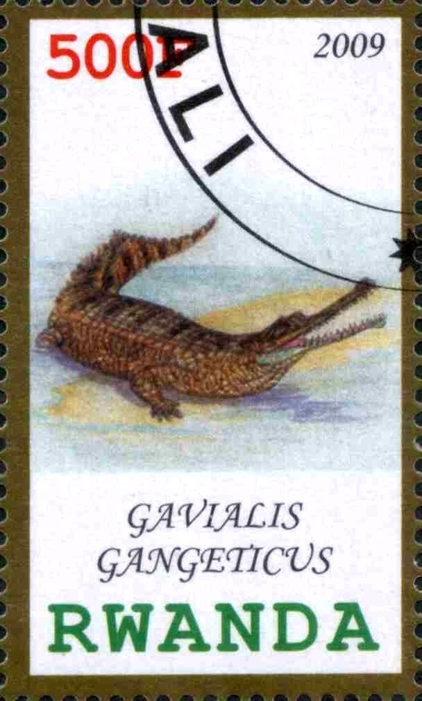 Gavialis Gangeticus