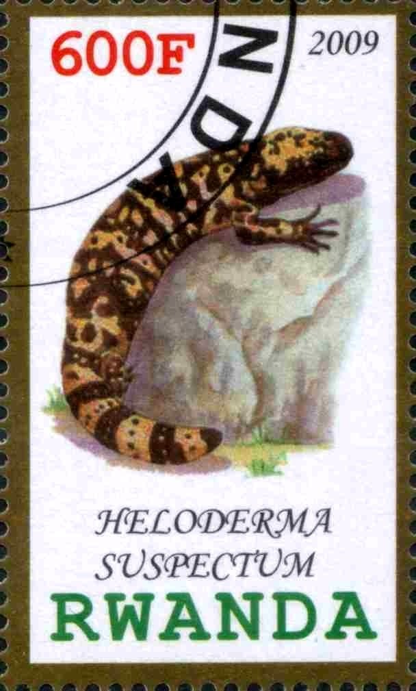 Heloderma Suspectum