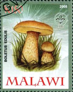Stamp, Boletus Edulis, Cinderellas,  , Mushrooms