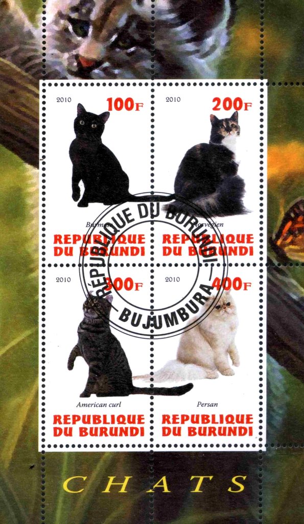 Chats