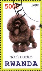 Stamp, Toy Poodle, Cinderellas,  , Dogs