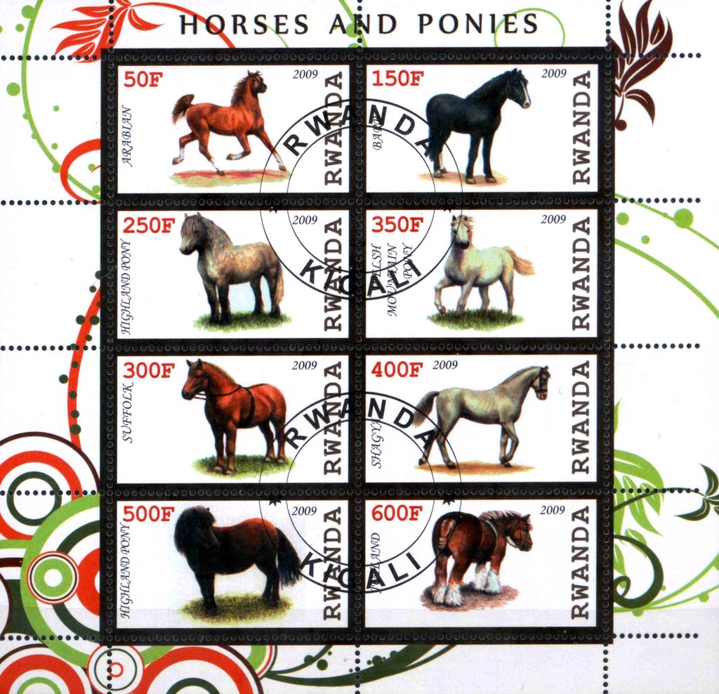Horses and Ponies