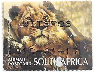 Stamp, Lion (Panthera leo), South Africa,  , Animals (Fauna), Mammals