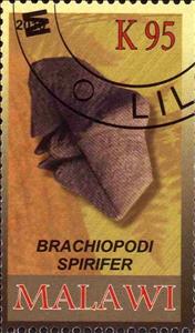Stamp, Brachiopodi spirifer, Cinderellas,  , Fossils