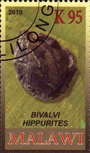 Stamp, Bivalvi hippurites, Cinderellas,  , Fossils