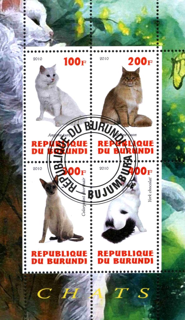 Chats