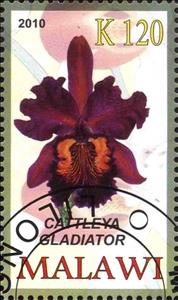 Stamp, Cattleya gladiator, Cinderellas,  , Orchids