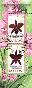 Mini Sheet, Orchids of the World III, Cinderellas,  , Orchids