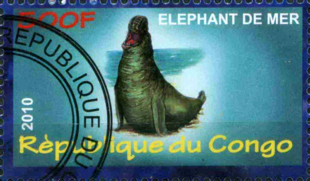 Elephant de Mer