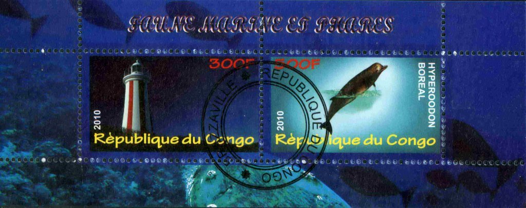 Faune Marine & Phares