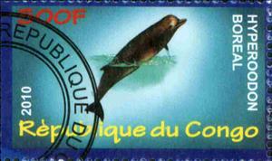 Stamp, Hyperoodon Boreal, Cinderellas,  