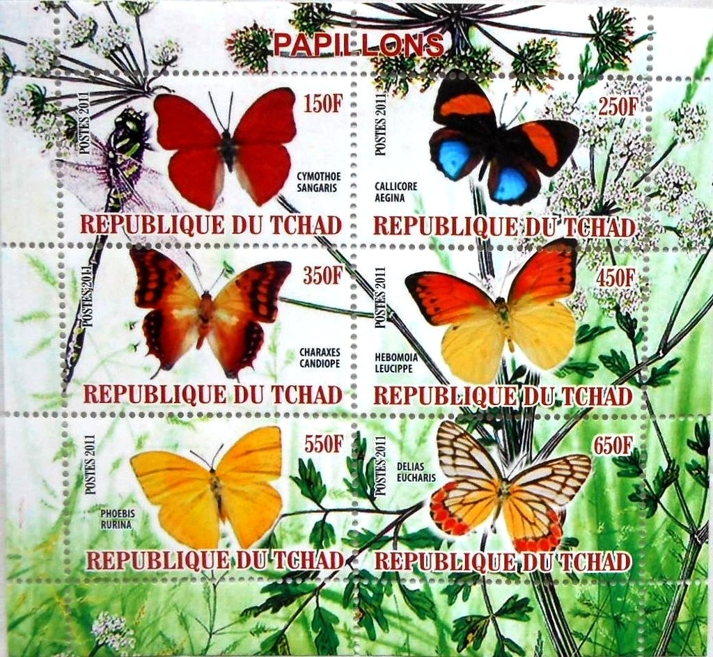 Butterflies