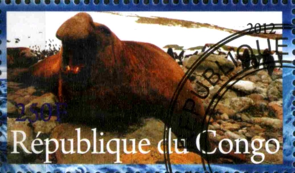 Faune de L'Antarctique