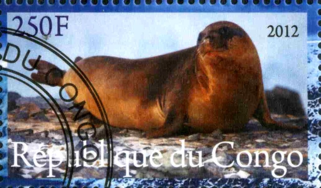 Faune de L'Antarctique