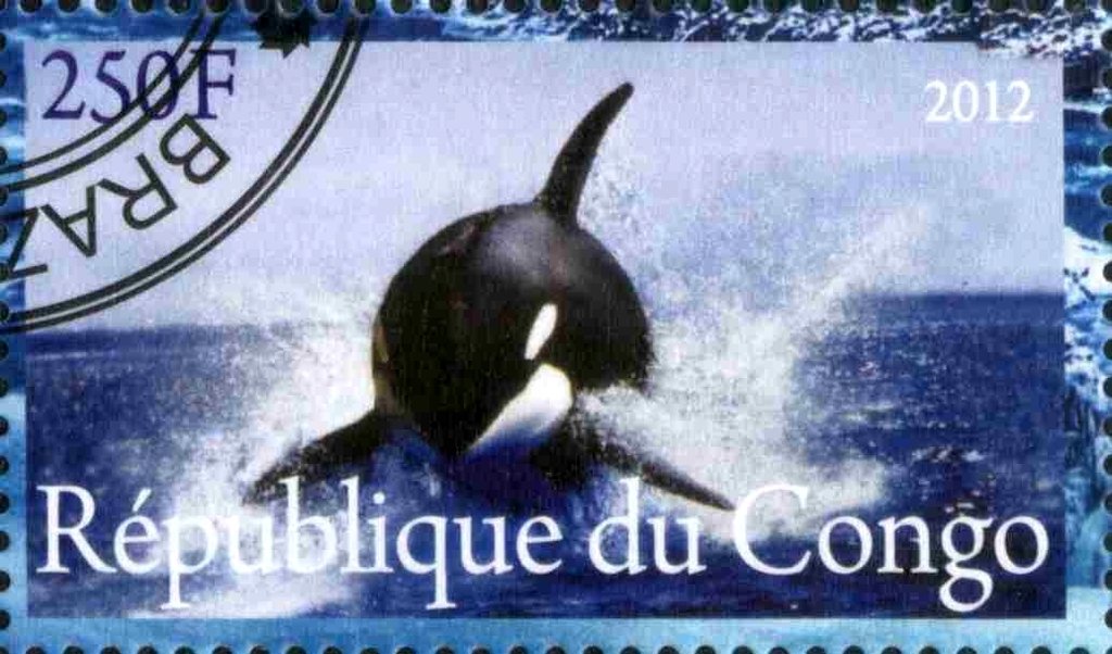 Faune de L'Antarctique