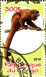 Stamp, Monkey, Cinderellas,  