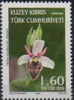 Ophrys argolicas ssp elegans