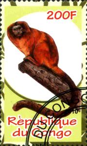 Stamp, Monkey, Cinderellas,  