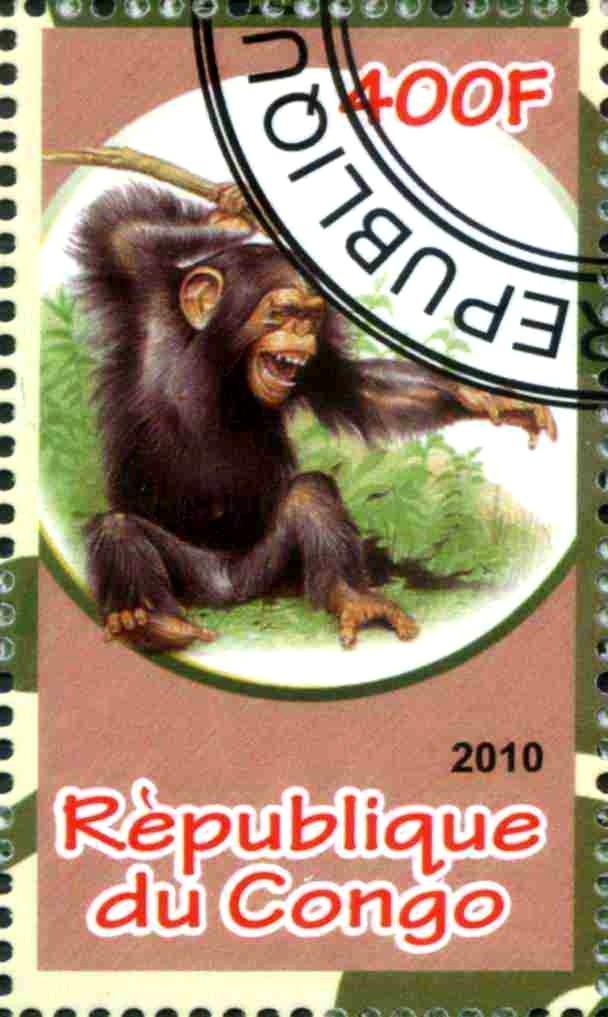 Monkey