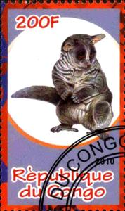 Stamp, Monkey, Cinderellas,  