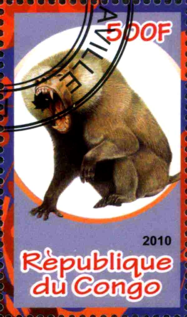 Monkey