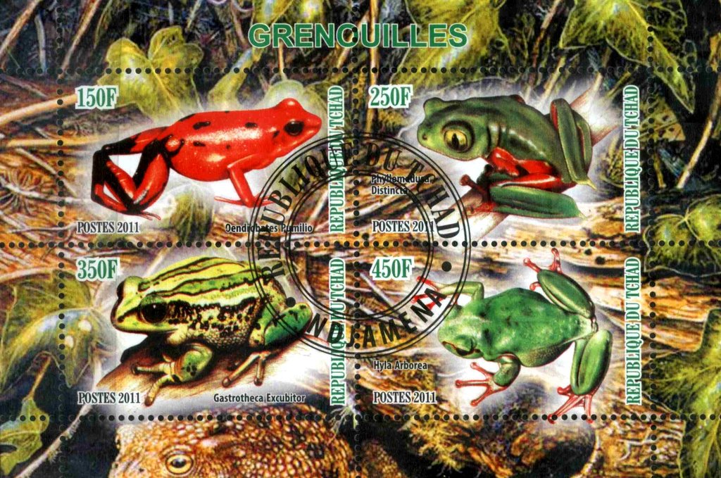 Grenouilles