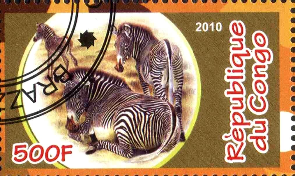 Perissodactyles