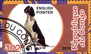 Stamp, English Pointer, Cinderellas,  , Dogs