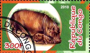 Stamp, Artiodactyles, Cinderellas,  