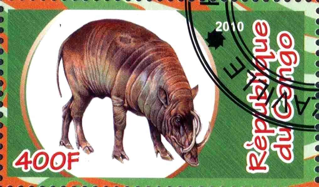 Artiodactyles