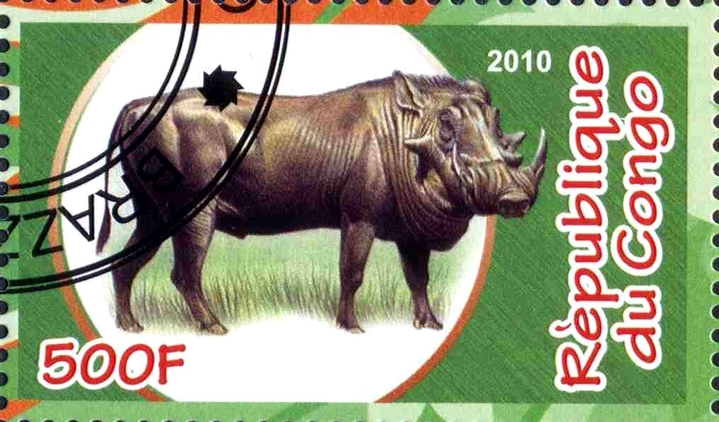 Artiodactyles