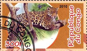 Stamp, Animals, Cinderellas,  , Cats