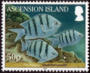 Stamp, Five Finger (Abudefduf saxatilis), Ascension Island,  , Animals (Fauna), Fishes, Sea Life