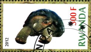 Stamp, Turtles, Cinderellas,  