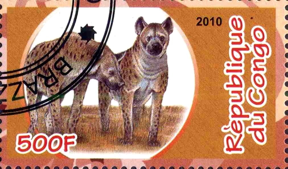 Animals