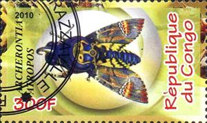 Stamp, Insects, Cinderellas,  , Animals (Fauna), Insects