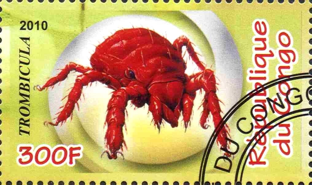 Insects