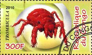 Stamp, Insects, Cinderellas,  , Animals (Fauna), Insects