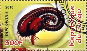 Stamp, Diplopoda, Cinderellas,  , Animals (Fauna), Insects