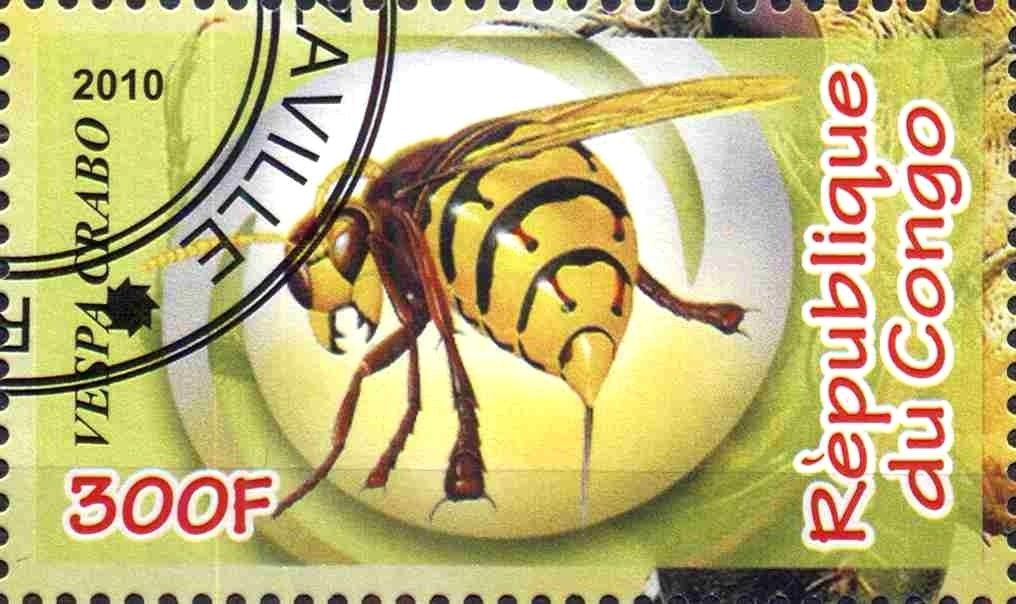 Insects