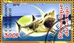 Stamp, Animals, Cinderellas,  , Sharks