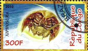 Stamp, Animals, Cinderellas,  