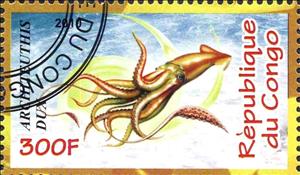 Stamp, Animals, Cinderellas,  