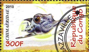Stamp, Animals, Cinderellas,  