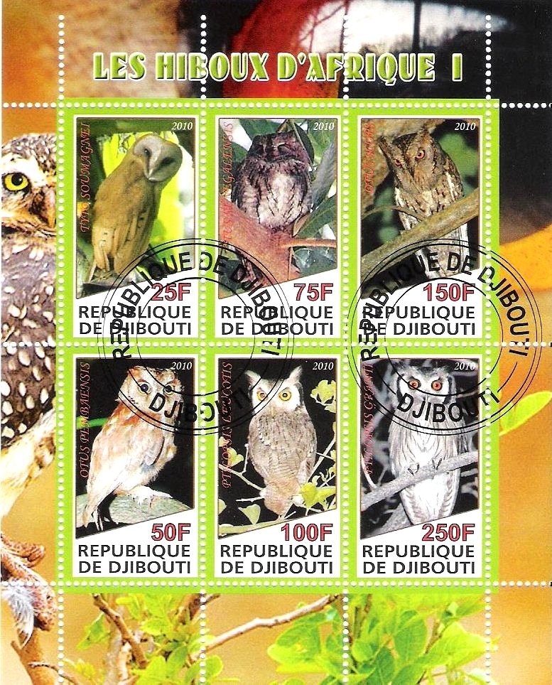 The African owls I