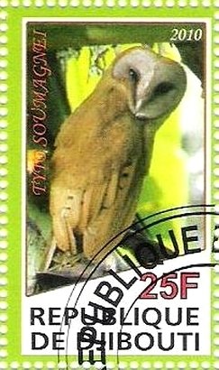 Tyto Soumagnei