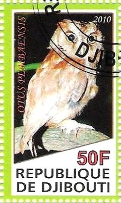 Otus Pembaensis