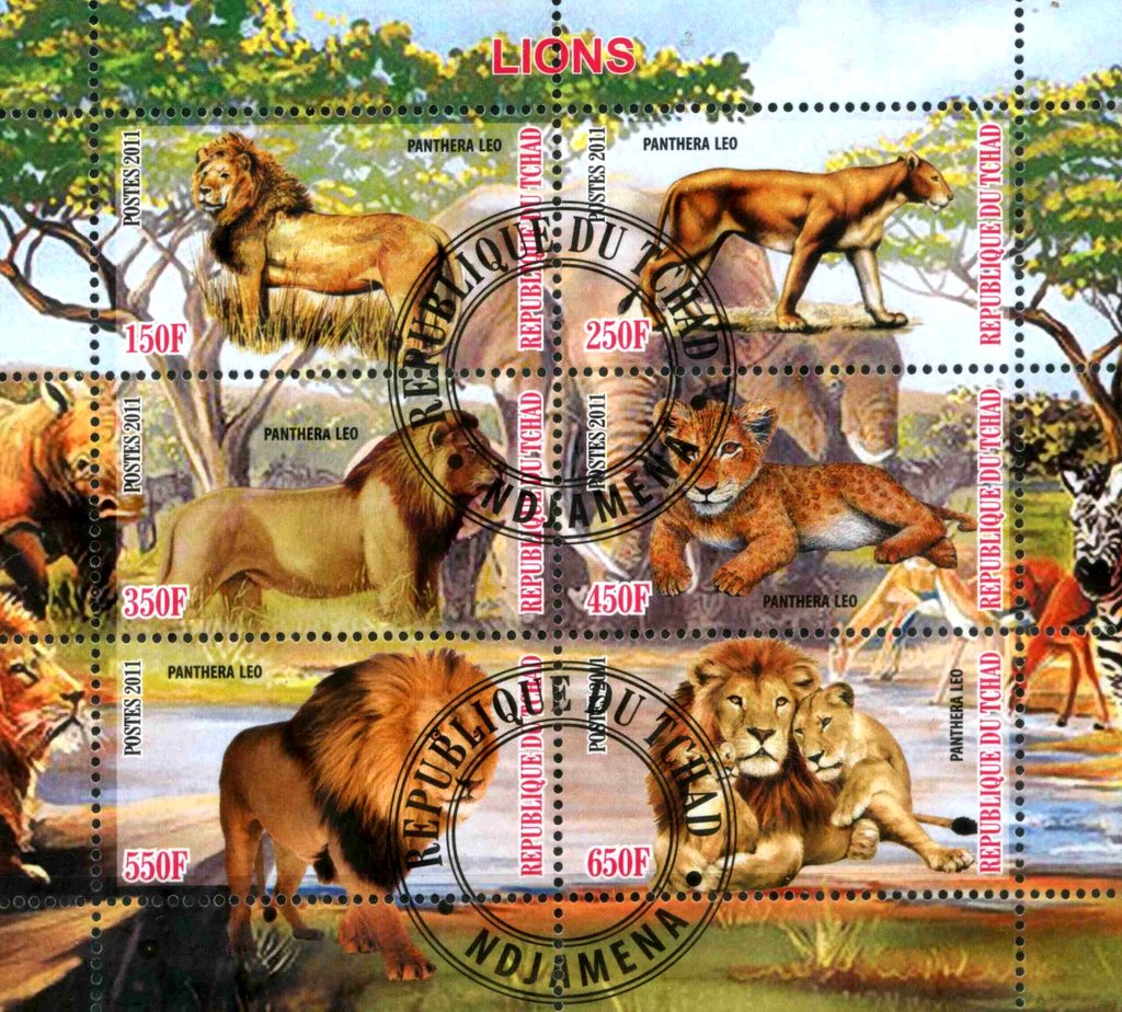 Lions