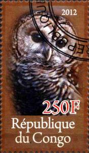 Stamp, Owl, Cinderellas,  , Birds, Owls