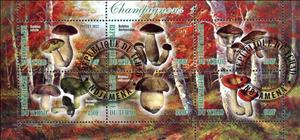 Mini Sheet, Champignons 1, Cinderellas,  , Mushrooms